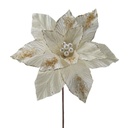 Fleurs de noël f223460