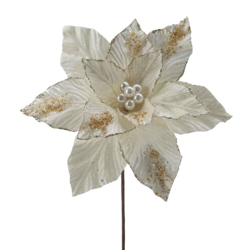 Fleurs de noël f223460