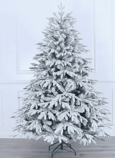 Sapin nordmann 210 cm