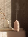 Diffuseur "bouteille"