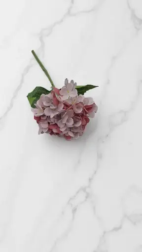 Tige hortensia pink 