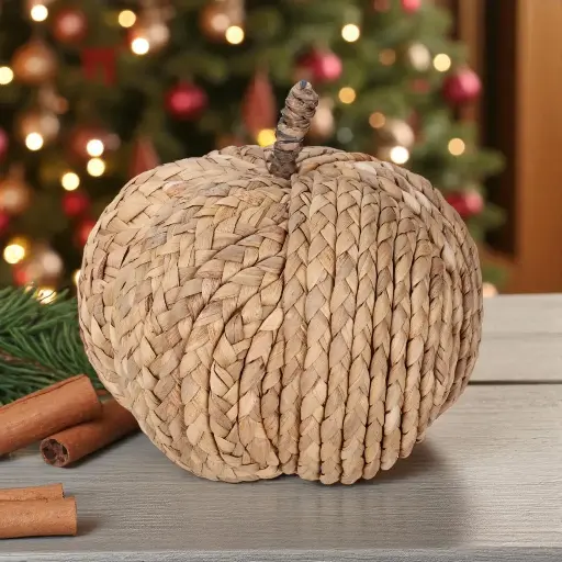 Citrouille 20cm rond