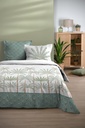 Morphea hc 240x220+2t63x63