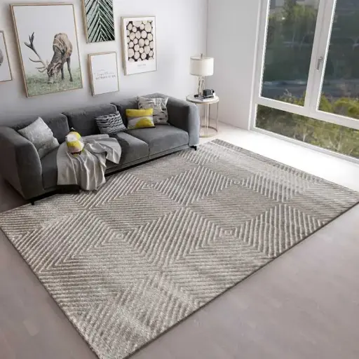 Tapis "design épuré" - 160*230 cm