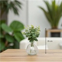 Compo euca vr urice h35