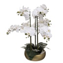 Orchidee pot crmq or artif h65