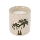 Bougie parfumee dans pot palmier vert