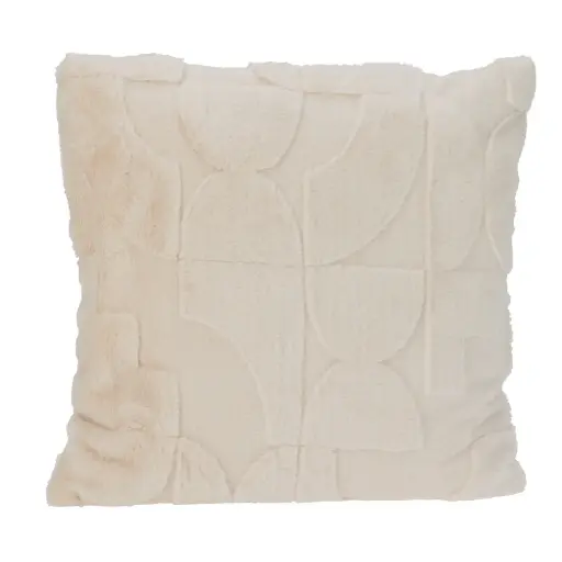 Coussin 45x45cm  clr 2