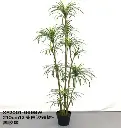 Plante 210 cm - 669W