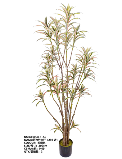 Plante 202 cm - 590