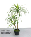 Plante Sago cycad 85 cm - 477