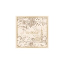 Lot de 20 serviette 33*33 cm - "NAHIM"