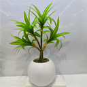 Plante artificielle 17*50 zwgy-12 - Sina