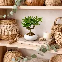 Plante artificielle en pot  Anis