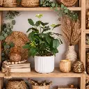 Plante artificielle en pot Vera