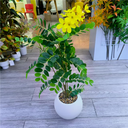 Plante artificielle 17*70 zwgy-6 - Sina