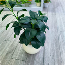 Plante artificielle Eden