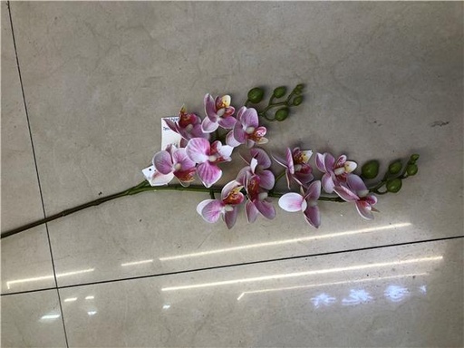 Fleur - modèle 'XSJ-24A'