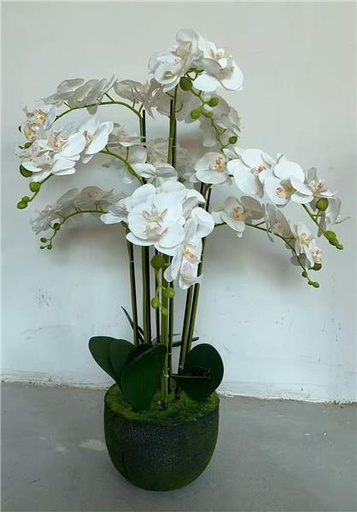 Plante en pot - modèle 'XSJ-3'