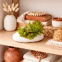 Plante artificielle succulentes pot Tina