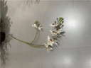 Branche d'orchidée Cymbidium blanche 85CM - 555