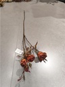 Tige de roses séchées terre cuite 70 cm - 418