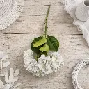 Tige hortensia blanche 94 cm