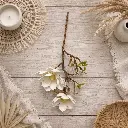 Tige magnolia blanche 55 cm
