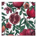 Set de 20 serviettes papier 3 plis 33*33cm grenades