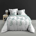 Parure 3 p. 240 x 220 cm percale imp. 78 fils allover wendy