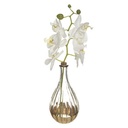 Vase orchidee 