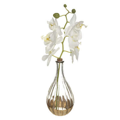 Vase orchidee 