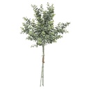Bouquet euca h64