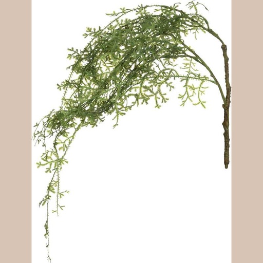 Tige herbe d'eau h83