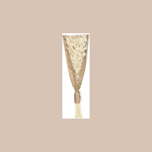 Bouquet seche nat display h45 ble