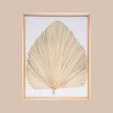 Deco mur palmier wonder 49x61