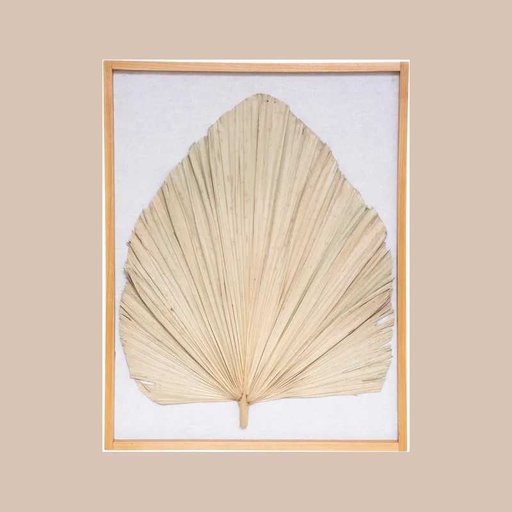 Deco mur palmier wonder 49x61